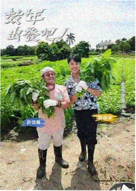 纸灯与长夜第八话更新封面